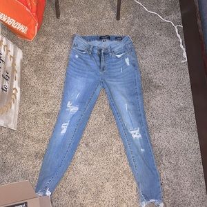 Judy Blue Distressed Jeans